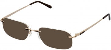 Jaeger 245 Sunglasses in Gold/Brown