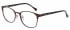 Ted Baker Glasses TB2232 in Brown