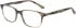 Hackett HEB141 Glasses in Olive Horn