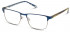 Ted Baker TB4275 glasses in Navy