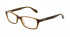 Ted Baker TB9071 glasses in Brown
