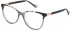 Yalea VYA050V glasses in Transparent Grey