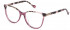 Yalea VYA050V glasses in Bordeaux
