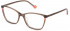 Yalea VYA048V glasses in Shiny Transparent Brown
