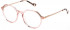 Yalea VYA044V glasses in Shiny Transparent Peach
