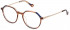 Yalea VYA044V glasses in Wavy Brown