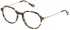 Yalea VYA044 glasses in Shiny Havana Honey Tatoo
