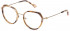 Yalea VYA038 glasses in Shiny Total Rose Gold