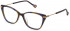 Yalea VYA024 glasses in Shiny Striped Blue/Brown