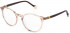 Yalea VYA022 glasses in Shiny Transparent Peach