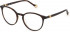 Yalea VYA022 glasses in Red Havana/Opal Red