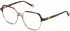 Yalea VYA021V glasses in Shiny Brown Havana