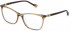 Yalea VYA020 glasses in Shiny Transparent Brown