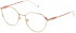 Yalea VYA017 glasses in Shiny Rose Gold