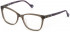 Yalea VYA008 glasses in Shiny Transparent Dove Grey
