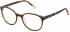 Yalea VYA007V glasses in Shiny Brown/Beige Havana