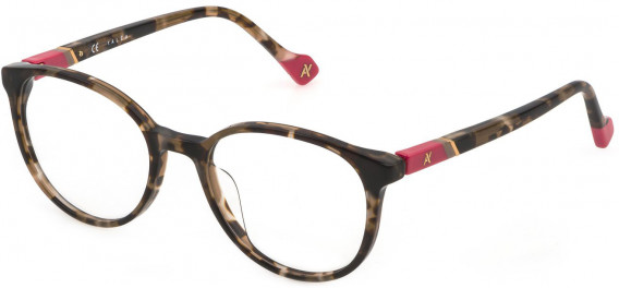 Yalea VYA007 glasses in Shiny Medium Havana