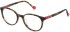 Yalea VYA007 glasses in Shiny Medium Havana