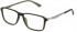 Police VPLF05 glasses in Semi Matt Dark Green