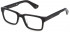 Police VPLE36 glasses in Shiny Black/Other