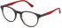 Police VPLE35 glasses in Matt Dark Grey