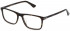 Police VPLD97 glasses in Shiny Dark Havana