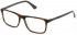 Police VPLD97 glasses in Shiny Striped Brown