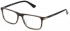 Police VPLD97 glasses in Striped Grey Havana