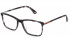 Police VPLD11N glasses in Pattern Light Havana/Grey