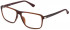 Police VPLD09 glasses in Shiny Opal Brown