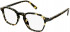 Police VPLC54 glasses in Shiny Pattern Brown/Yellow