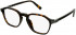 Police VPLC54 glasses in Shiny Dark Havana