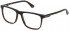 Police VPLB57 glasses in Shiny Dark Havana