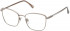 Nina Ricci VNR315 glasses in Shiny Red Gold