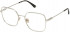 Nina Ricci VNR296 glasses in Shiny Light Gold