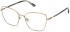 Nina Ricci VNR295 glasses in Shiny Camel