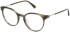 Nina Ricci VNR285 glasses in Wavy Brown