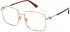 Nina Ricci VNR284 glasses in Shiny Copper Gold