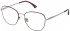 Nina Ricci VNR282 glasses in Shiny Red Gold
