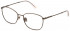 Nina Ricci VNR259 glasses in Shiny Bronze
