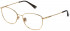 Nina Ricci VNR259 glasses in Shiny Rose Gold/Havana