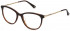 Nina Ricci VNR255 glasses in Shiny Light Havana