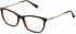Nina Ricci VNR254 glasses in Shiny Light Havana