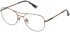 Nina Ricci VNR244 glasses in Shiny Grey Gold