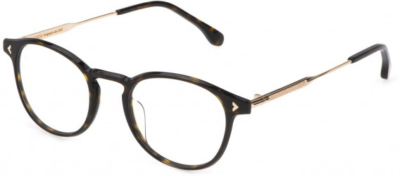 Lozza VL4298 glasses in Shiny Brown/Yellow Havana