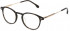 Lozza VL4298 glasses in Shiny Brown/Yellow Havana