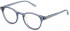Lozza VL4293 glasses in Shiny Blue Top/Azure