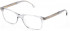 Lozza VL4292 glasses in Shiny Transparent Grey