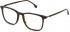 Lozza VL4277 glasses in Shiny Dark Havana