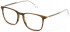 Lozza VL4277 glasses in Shiny Striped Brown